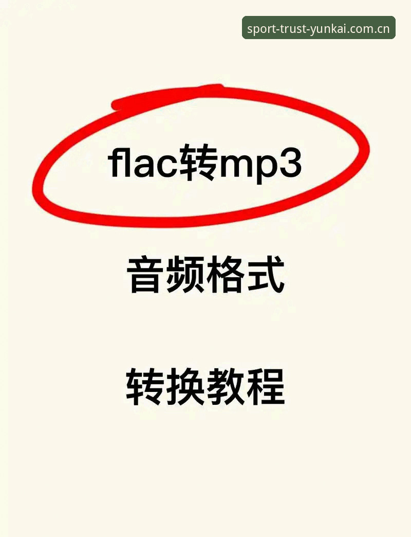 云开app下载怎么下载 云开体育平台app下载安装教程:三步搞定,老用户亲测有效